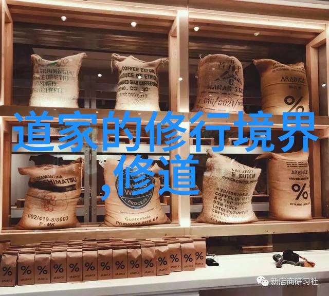 勇士与公主一段永恒的传奇