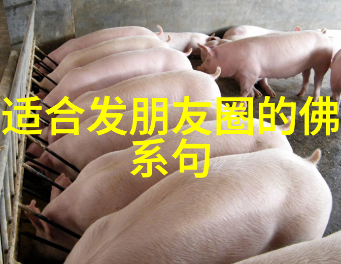 揭秘千年封印国家宣布修仙现实存在的原因