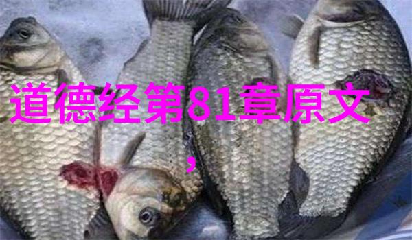 学会引雷诀手势需要哪些基本动作