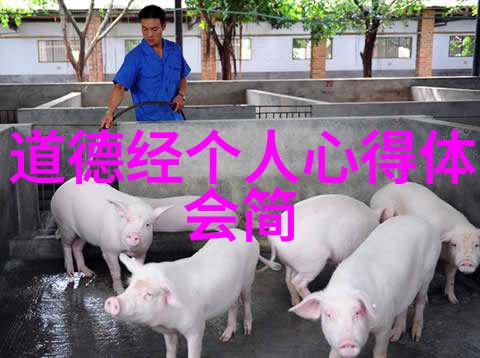 满族的禁忌