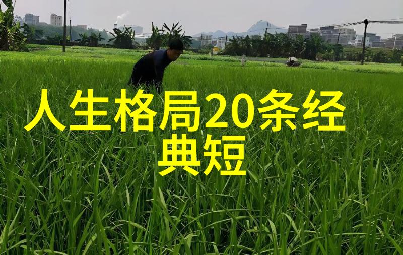朱熹与陆九渊如何理解宋明理学与道家的关系