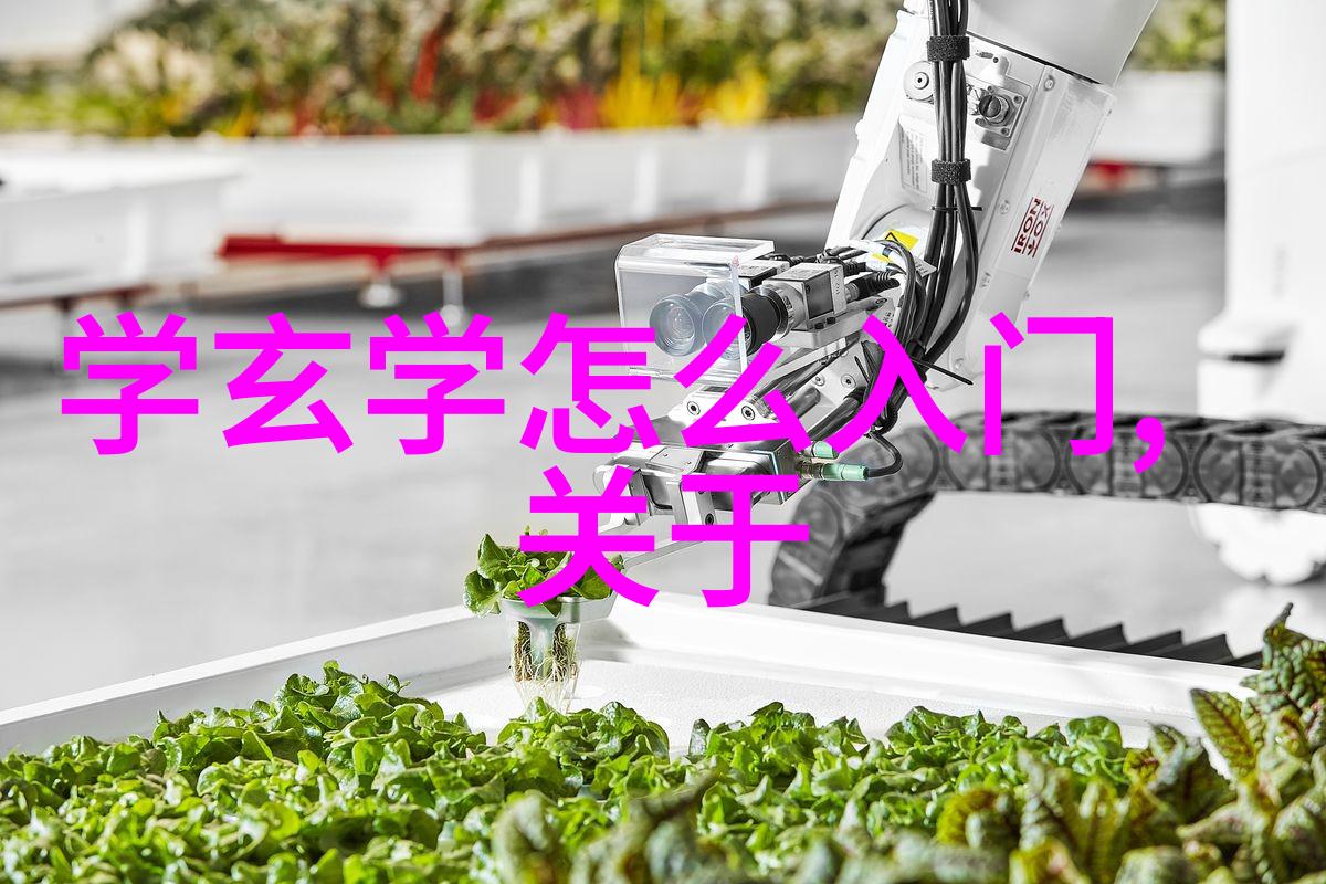 古韵悠长的墨迹传承四言书法艺术探索