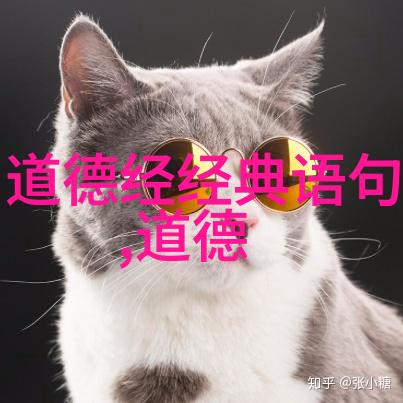 道德经背后的智者孔子与老子的对话