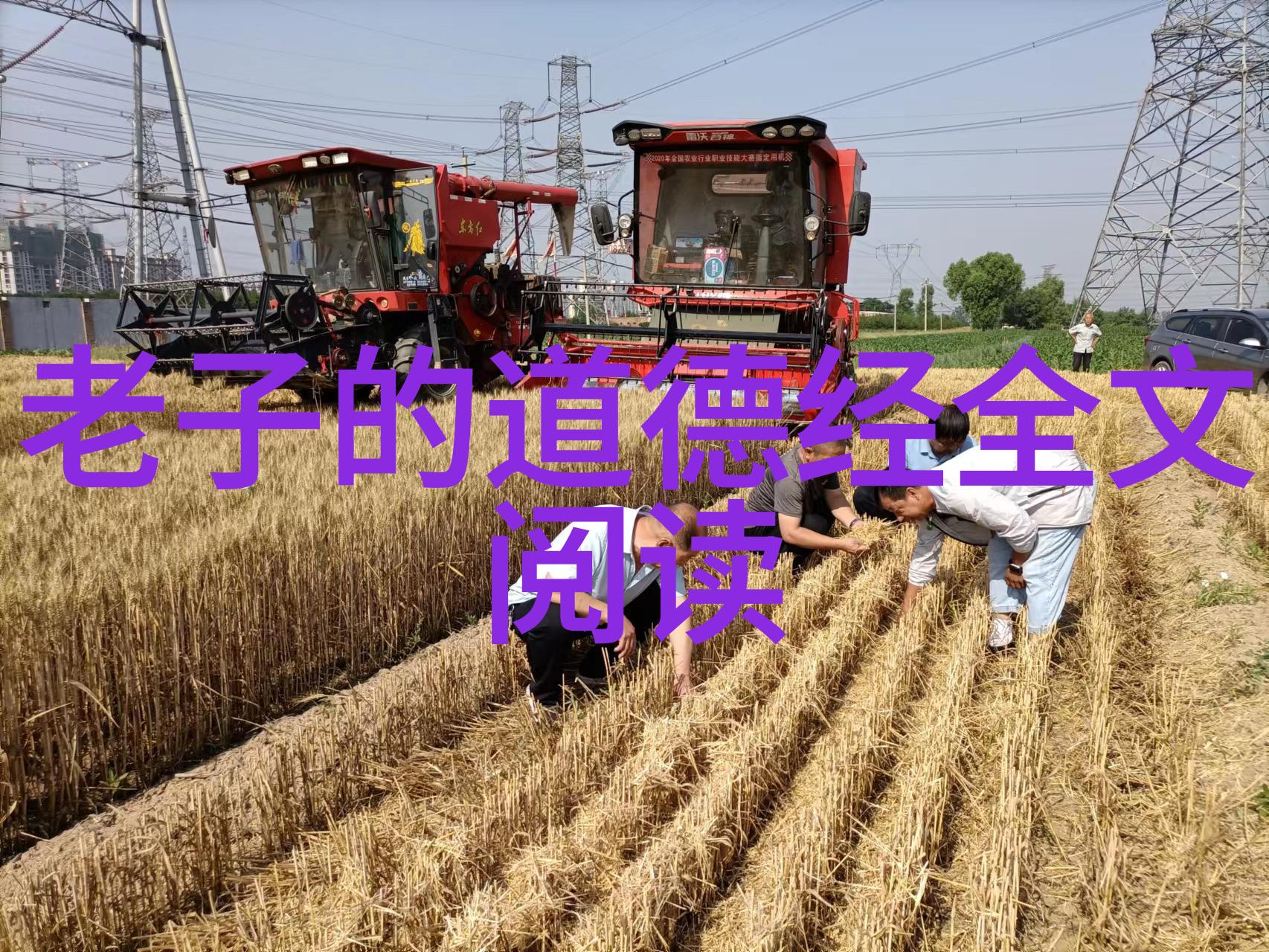 道德经原版全篇探秘揭秘老子智慧的源泉