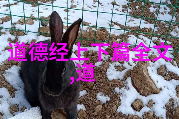 跨越时空的传奇古代历史人物背后的真实故事是什么