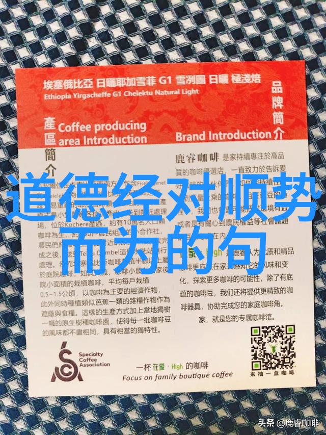 修行之旅人生的每一步都是学习和提升的过程吗