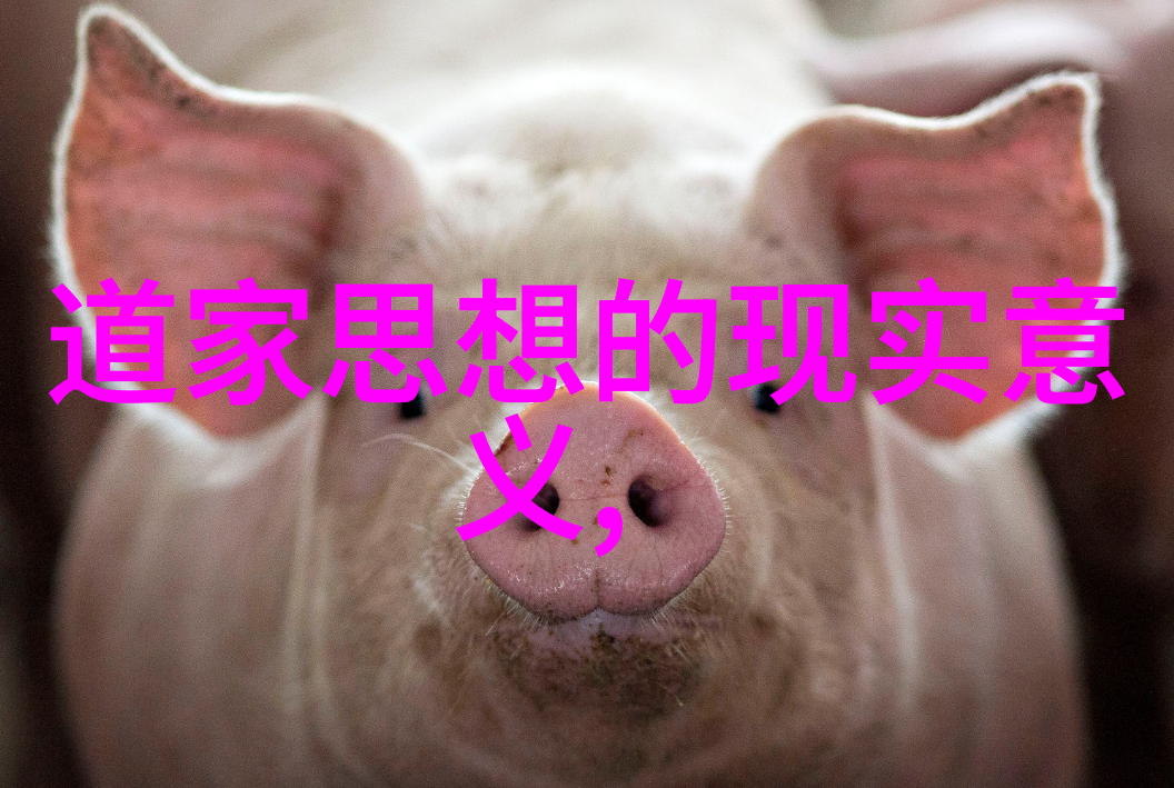 道家思想老子与庄子的智慧对话