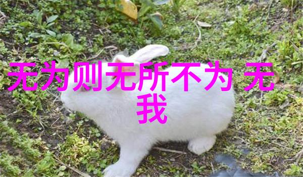 文学作品中的流浪者鲁迅过客的文化价值考察
