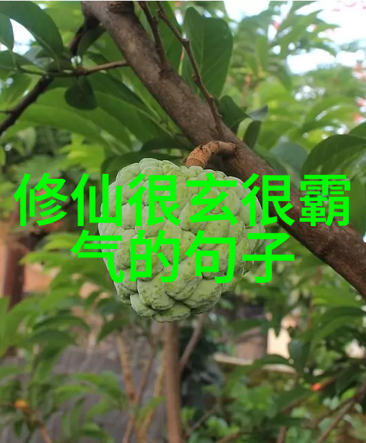 音乐启智君子六艺中音乐的魅力
