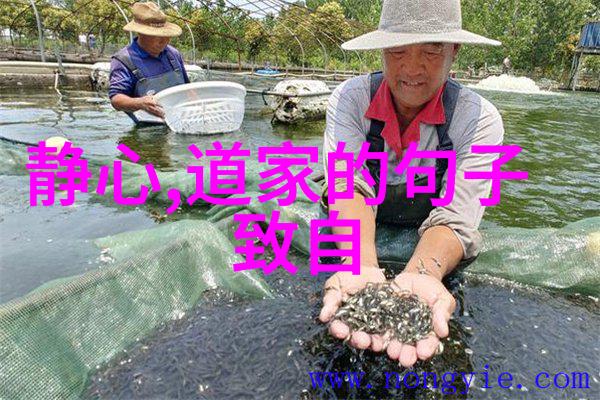 道教圣贤从山林隐逸到朝堂斗智的奇迹