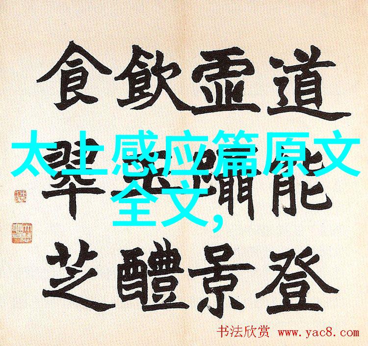 道家智慧的探究者揭秘古老哲学的深邃之谜