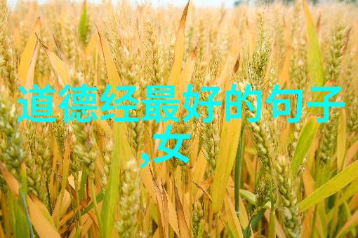 天道酬勤解读道法自然的哲学深度