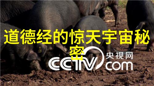 古诗名句摘抄鉴赏-碧波潋滟梦初醒唐代诗人的夜景美学探究