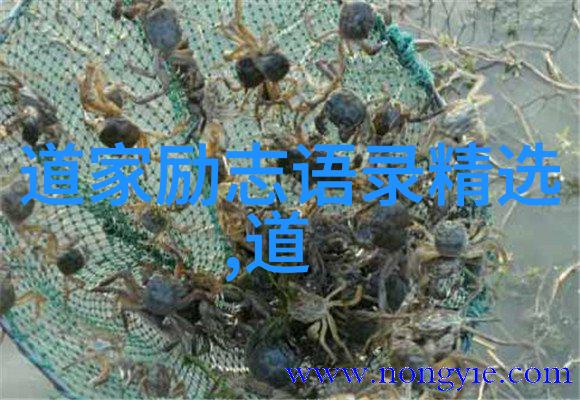 生活哲学我是不是就像这句无为 无不为 为而不为在人生的河流中漂泊不知方向但却在不知不觉中找到了一条属