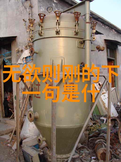 道家思想的代表人物老子庄子张载王弼陆九渊