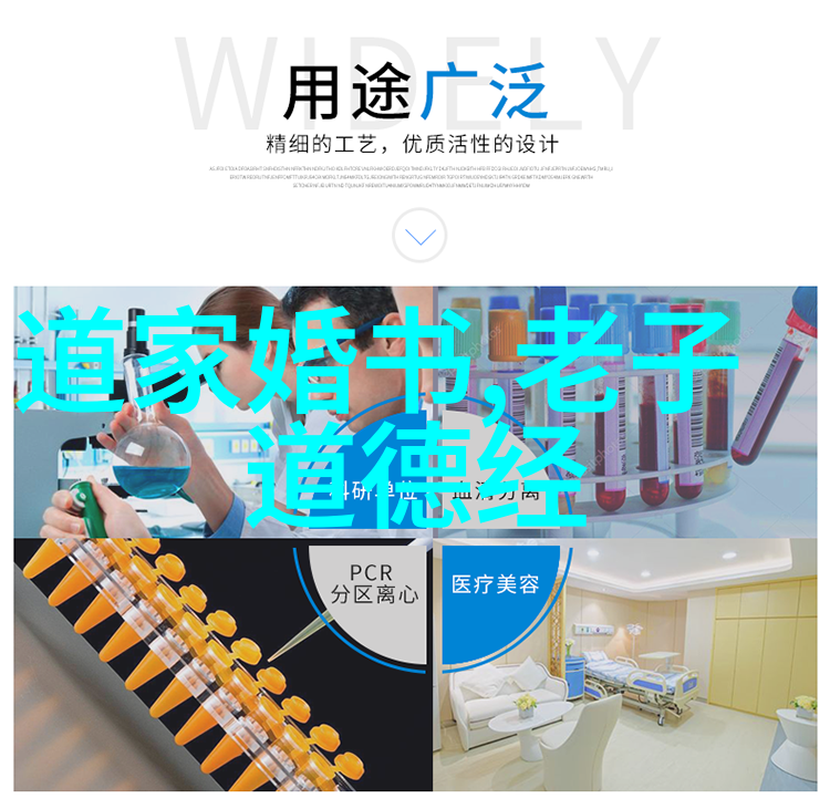 探索道家思想代表人物的心灵世界