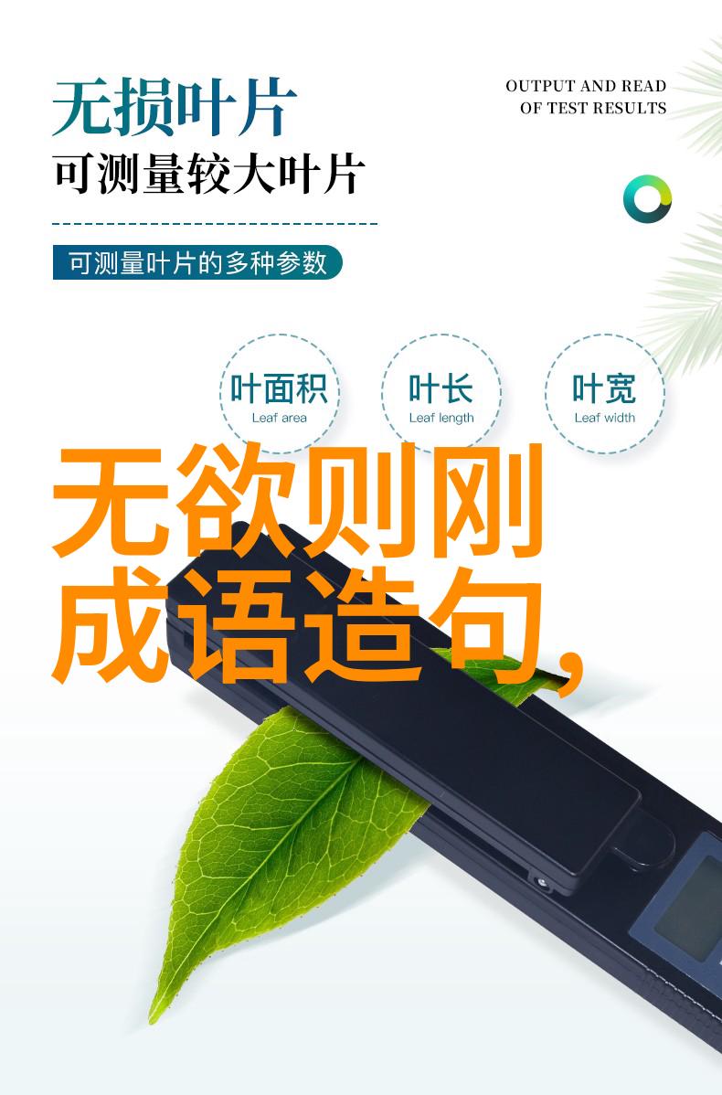 悟透自我开启内心的光明之旅