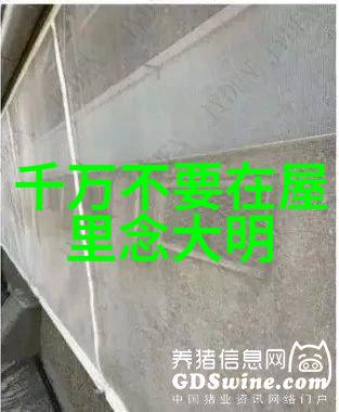 古代道家的宗教仪式有哪些特点以及它们在今天仍具有重要意义吗
