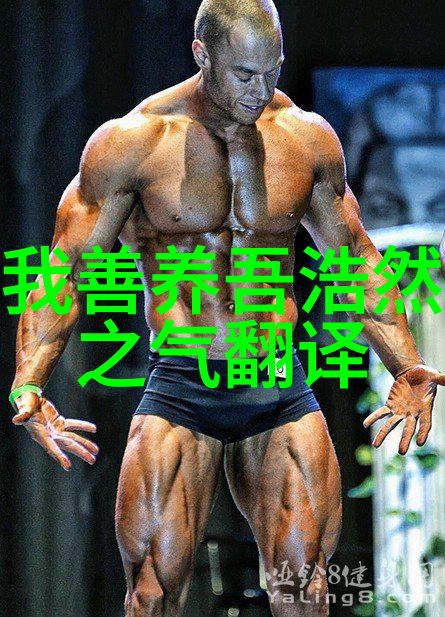 道家学说的智慧与道教的实践探索天人合一的哲学与宗教