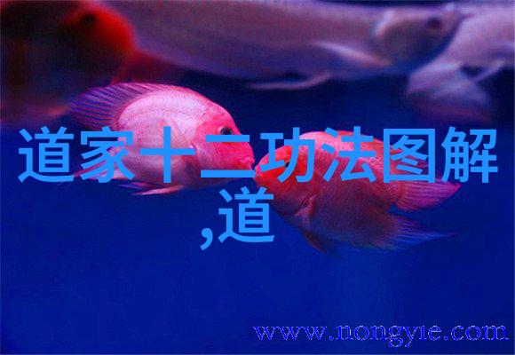 道家的创始人物揭秘老子的智慧与形而上的追求