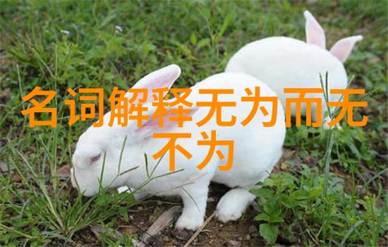 无为而无不为的智慧生活方式深度解读