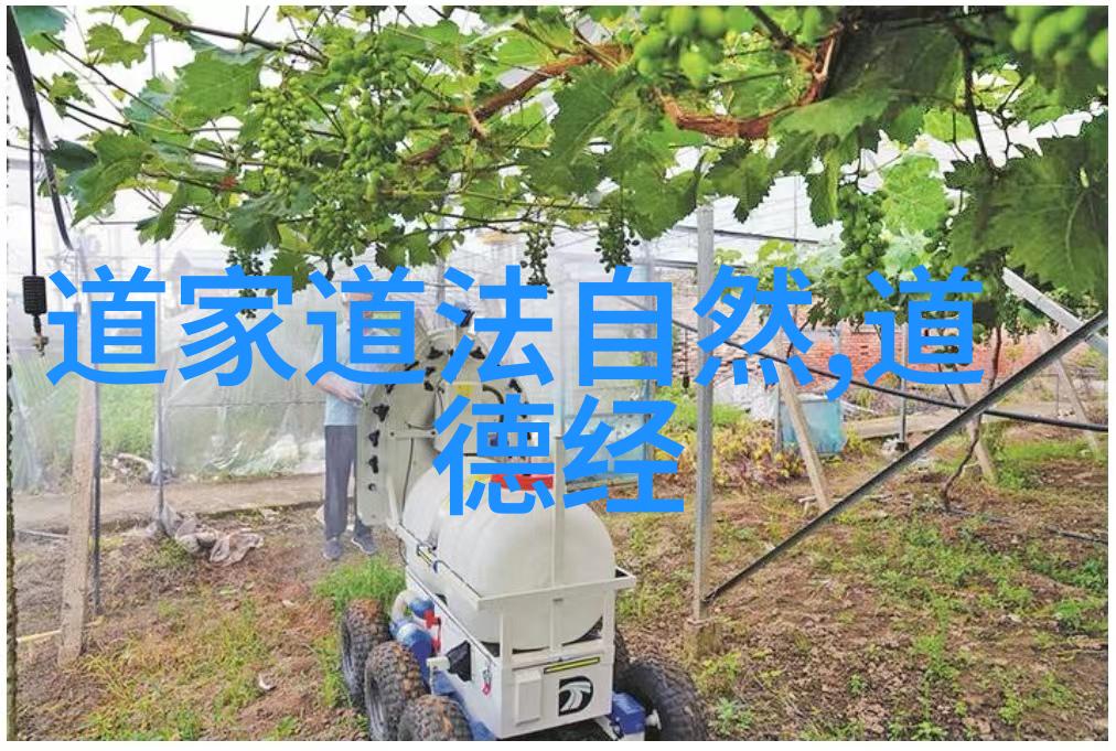 修身修心修行的精髓养成良好的生活习惯培养积极向上的心理态度以及不断提升自我实力