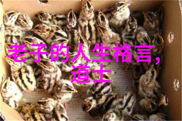 男人对女人说无欲则刚揭秘内心深处的意志与情感