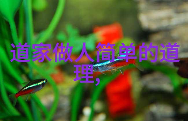 5G新纪元揭秘国内探花企业的创新之路