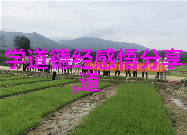 天师之谜揭秘道教高级神职的神秘境界