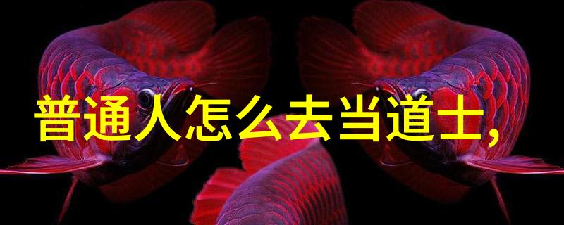 张三丰是道教创始人吗张三丰的神秘身世与道教的历史地位探究