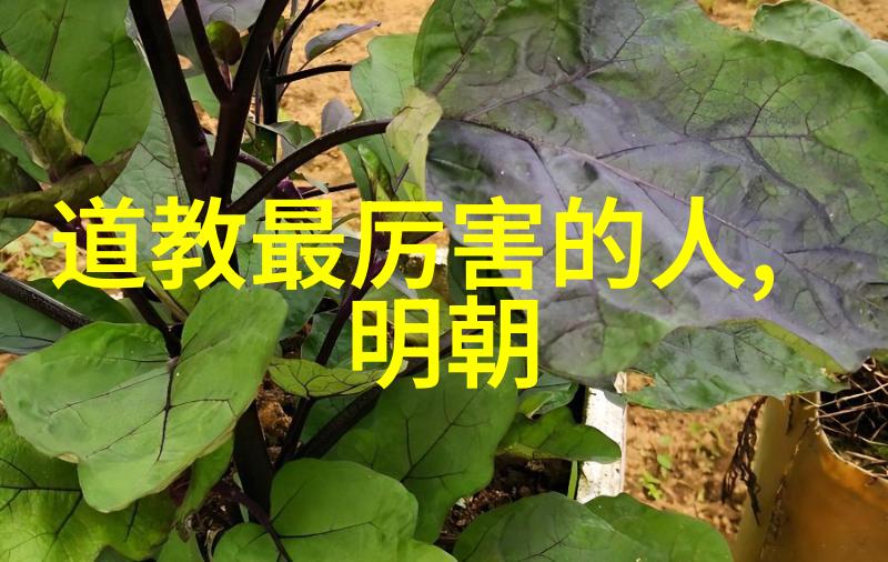 从庄子到张三丰道家的伟大人物有哪些