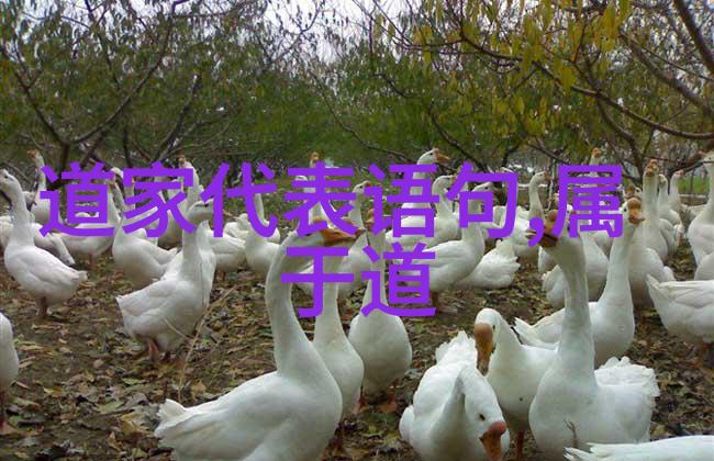 道法自然解析108位神仙的力量与地位