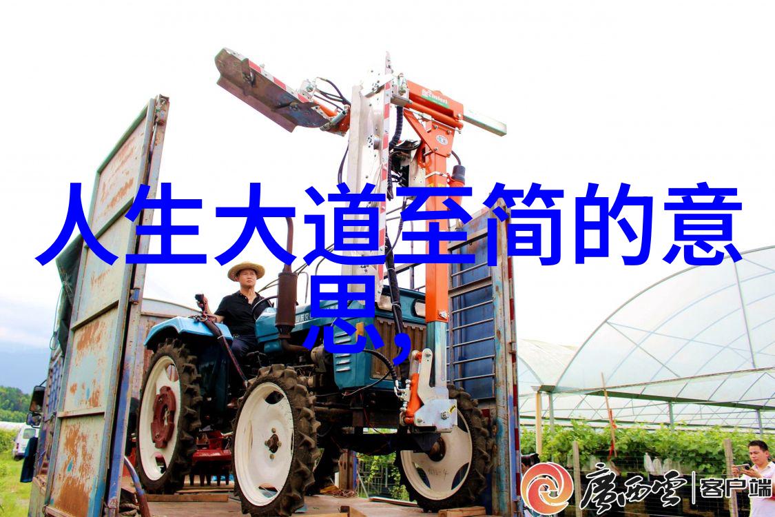 在实践中如何理解和应用无不为这一概念