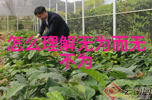 书法是一种艺术-墨香绘韵探索书法艺术的奥秘与魅力