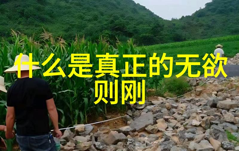 认知觉察超脱-理解和实践修心的三重奏