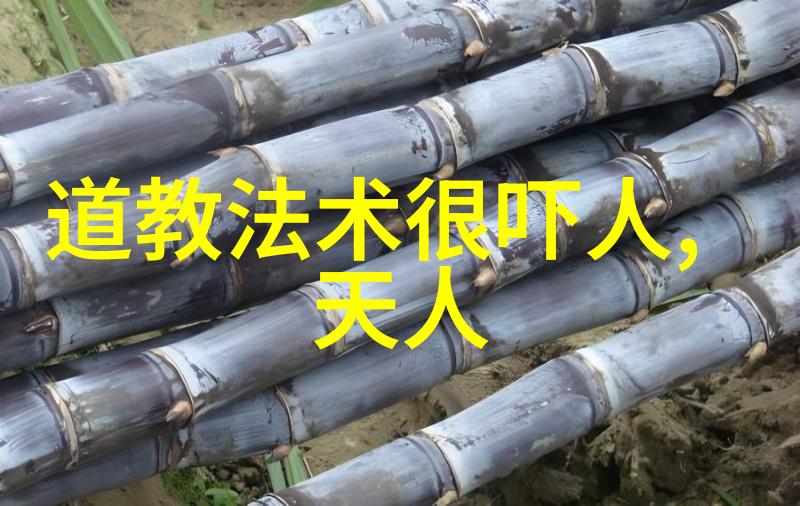 苗族服饰穿上它你就是56个民族中最美的儿童