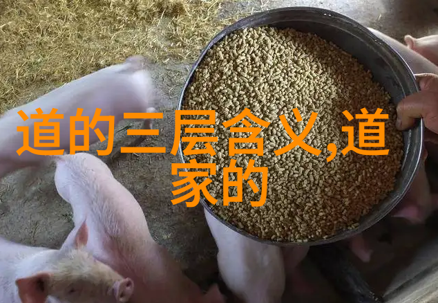 深夜里的思考者们揭秘他们内心世界的独特视角