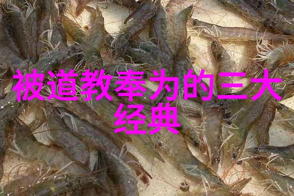女生说无欲则刚揭秘她们为什么总是那么坚硬又不可捉
