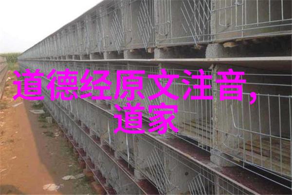 80年前后重新诠释道德经的意境与意义