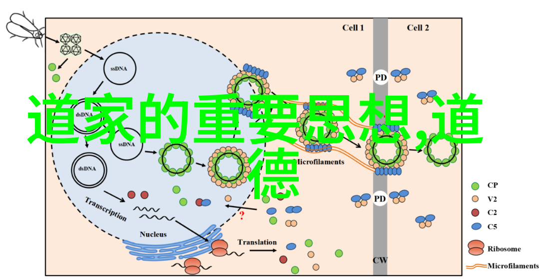 无为生活中的智慧与力量从简单的日常习惯到深远的人生哲学