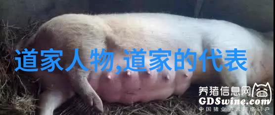 唐诗解读鉴赏经典深入理解古代文学精髓