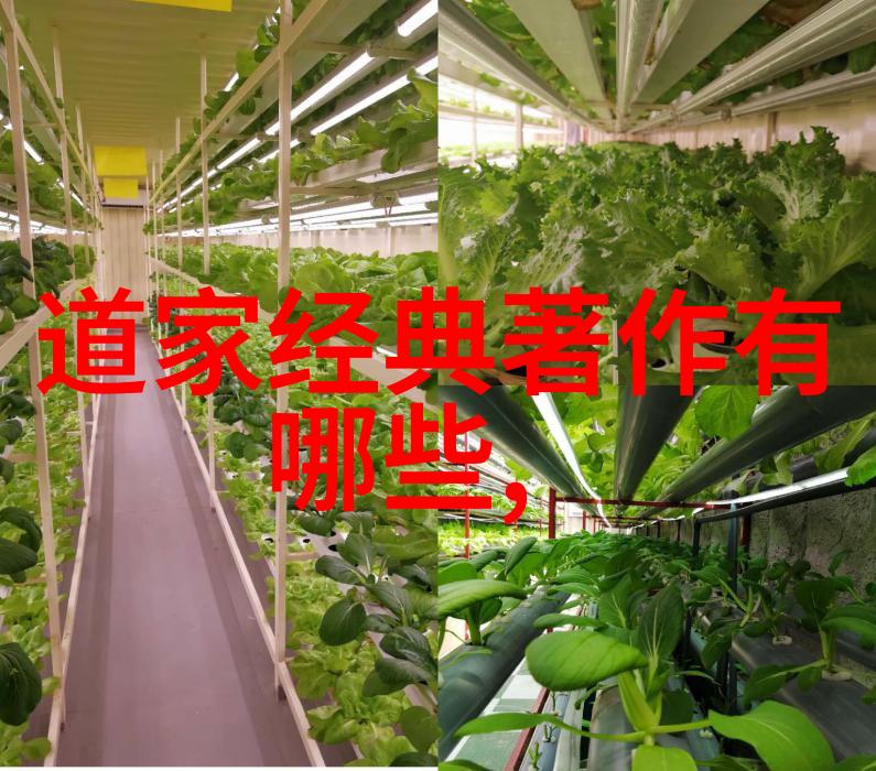 奇门遁甲入门全集让你轻松找回失落的走路不留足印技能