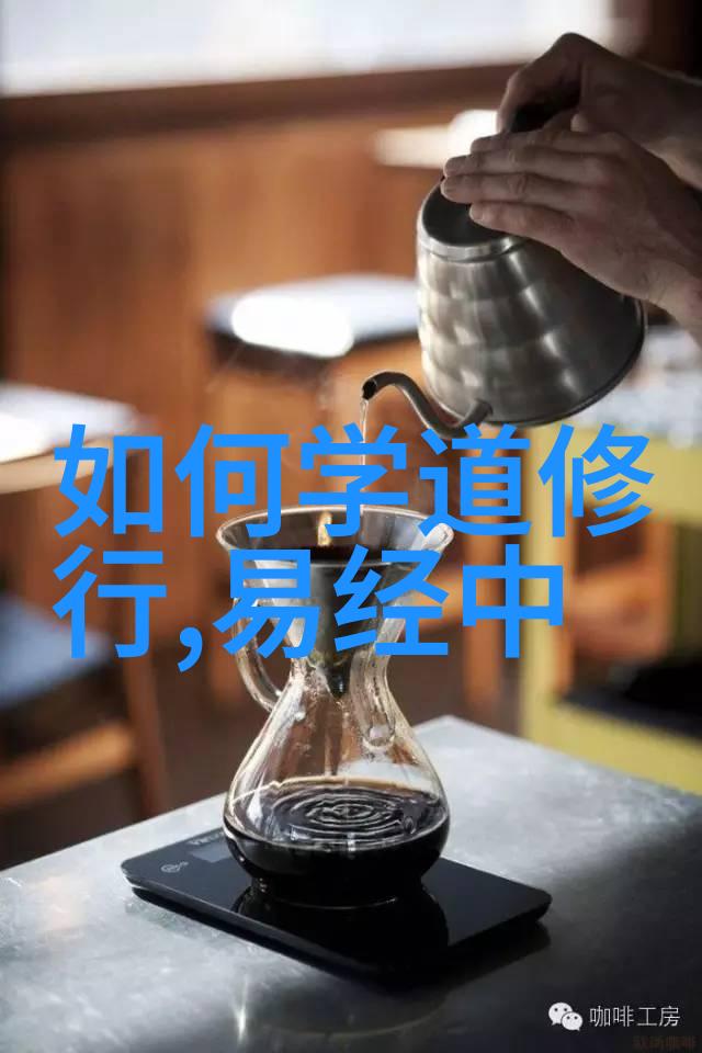国学文化鉴赏-探索中华文明的瑰宝从经典到现代的文化传承与创新
