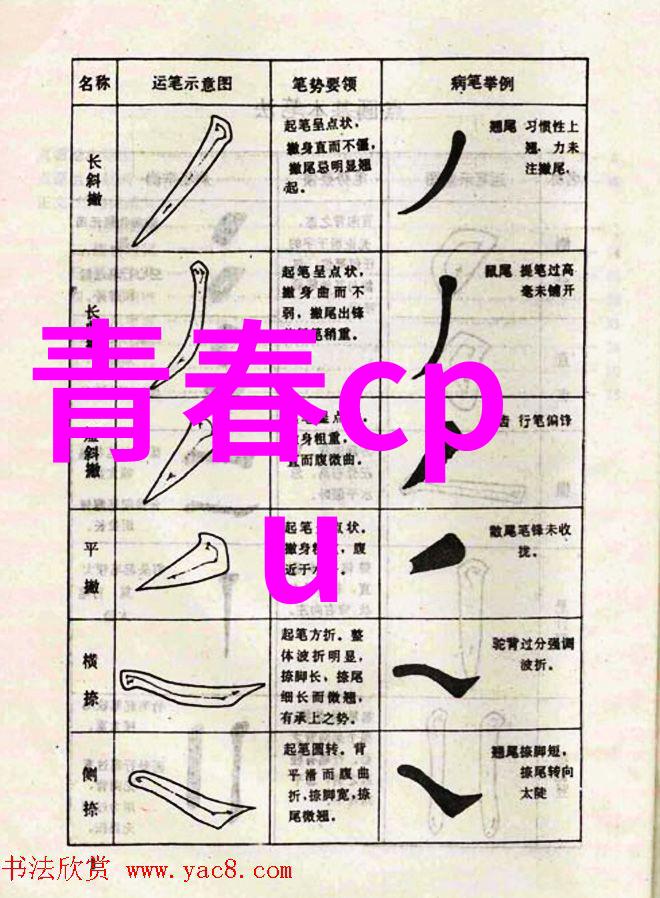 青春cpu（青春的能量核心）