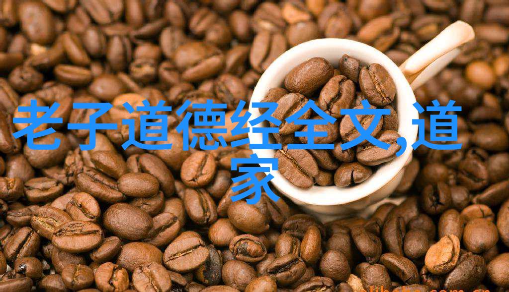 道家智慧的光芒宋代道家的灵魂探索