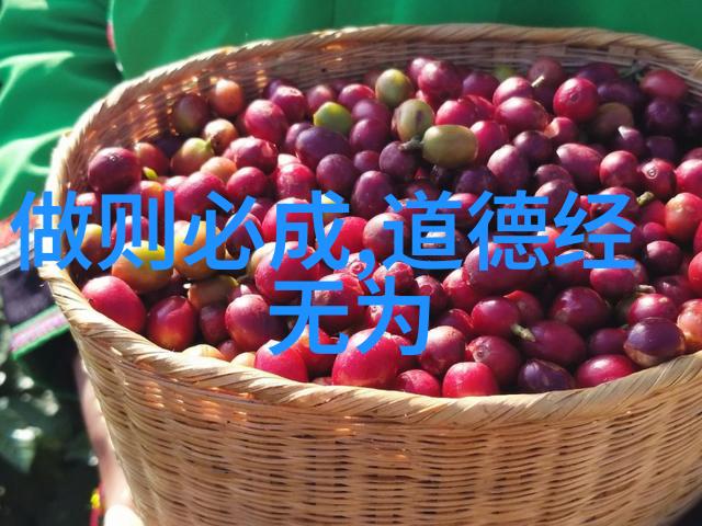 修身修心修行的精髓内在提升与精神追求的全面发展