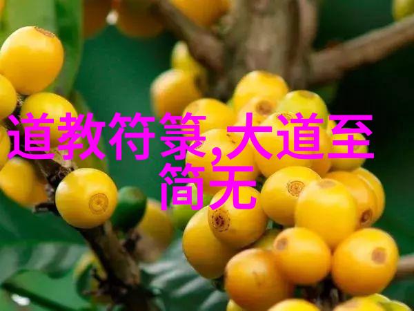 道家人物-探索道家智慧从老子到庄子的哲学探旅