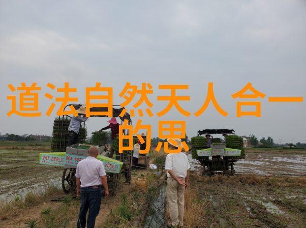 德道经中的仁义爱人的哲学实践