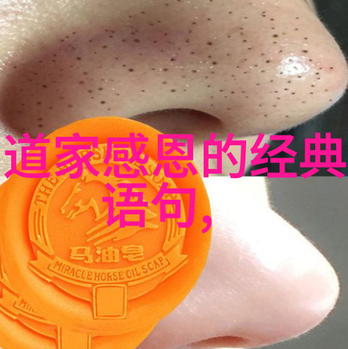 道家经典成语大全-悟道藏意探索古代智慧中的精华