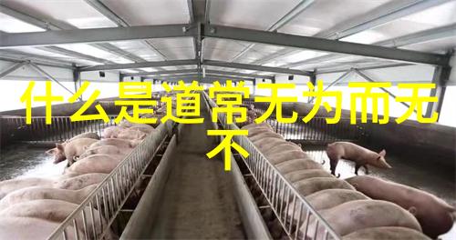 常无为而无不为是什么意思-悠然自得探索常无为哲学的深意